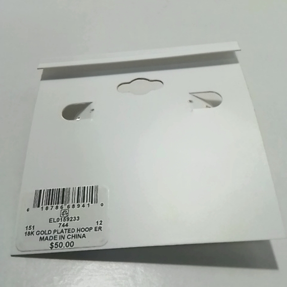 And Now This 18k over Brass Hoop Earrings - Picture 3 of 3